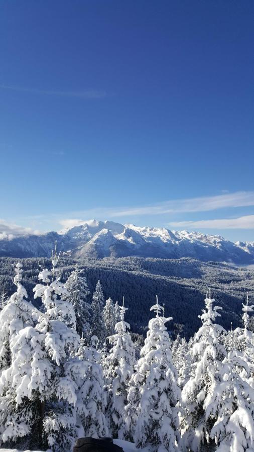 Kalvarienberg Appartement Gosau Eksteriør billede